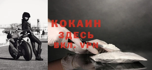 Альфа ПВП Каменка