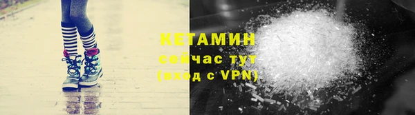 шишки Карпинск