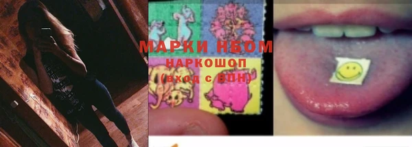 стафф Каменск-Шахтинский