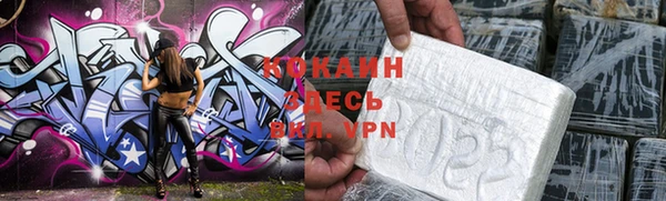 Альфа ПВП Каменка