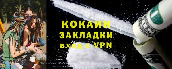шишки Карпинск