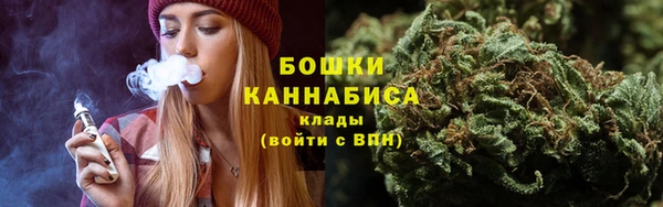 Альфа ПВП Каменка